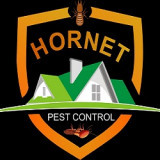 hornet_pest