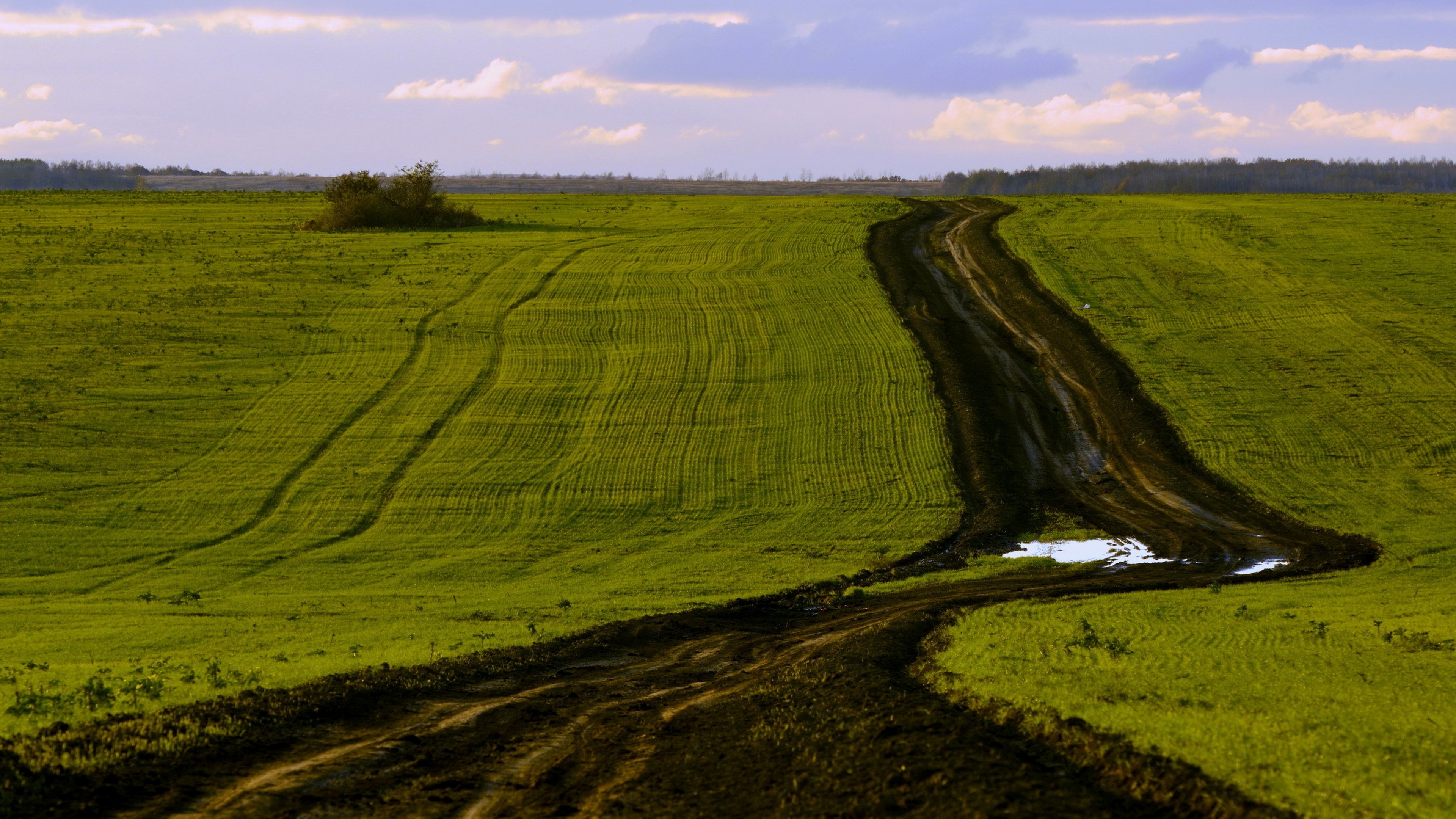 В какой зоне почвы сильно заболочены. Степи вспаханные поля Донбасса. Степь пашня. Сельскохозяйственные поля. Равнина дорогая.
