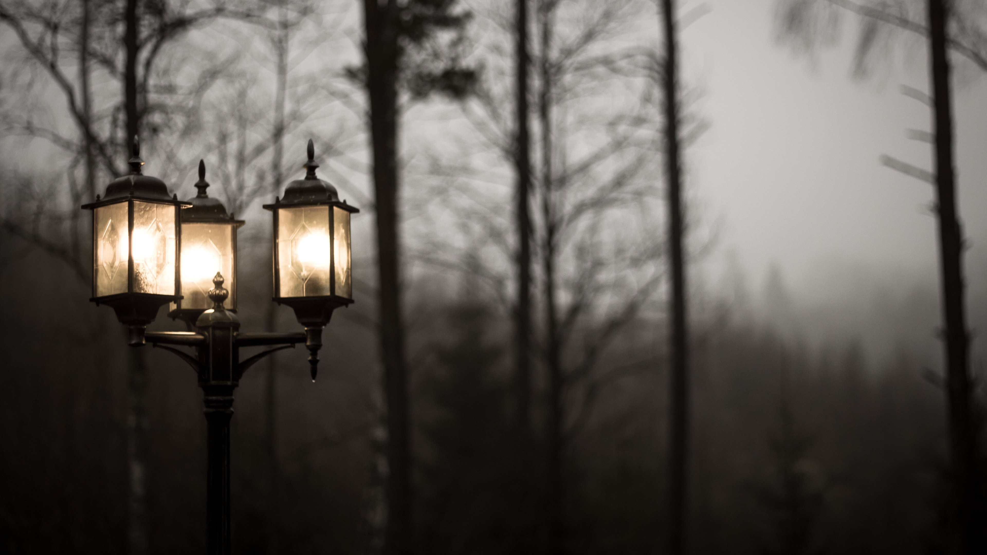 Вечер свет фонаря. Фонарь в тумане. Фонарь в лесу. Уличный фонарь. Ночные фонари.