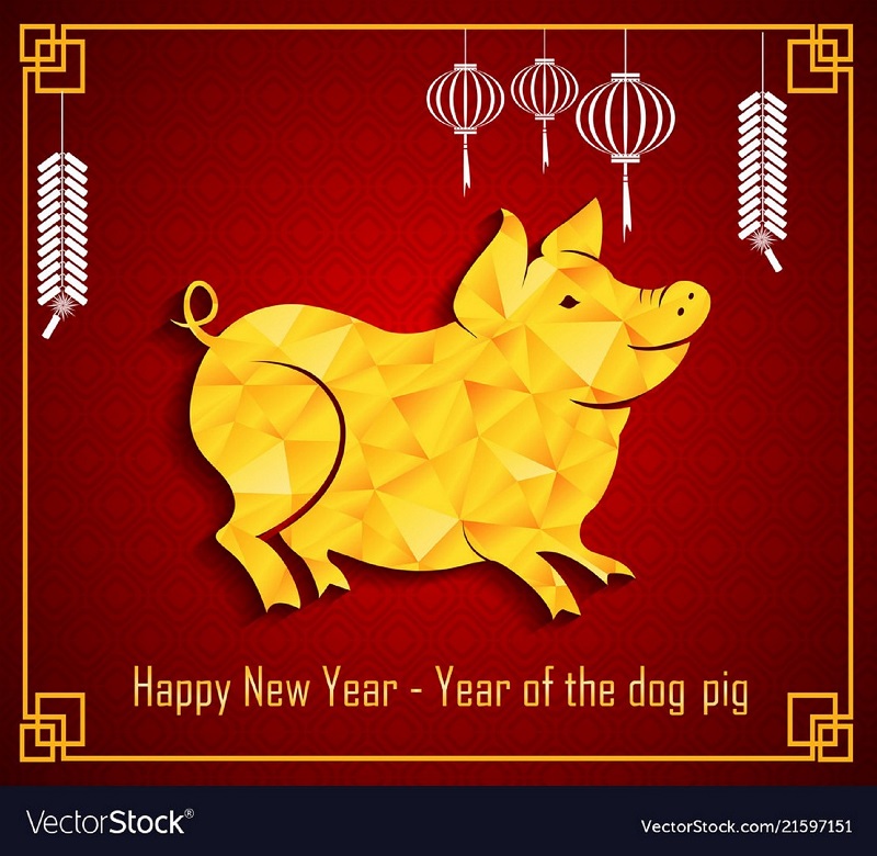 Year Of The Pig 2019 1w6eU8