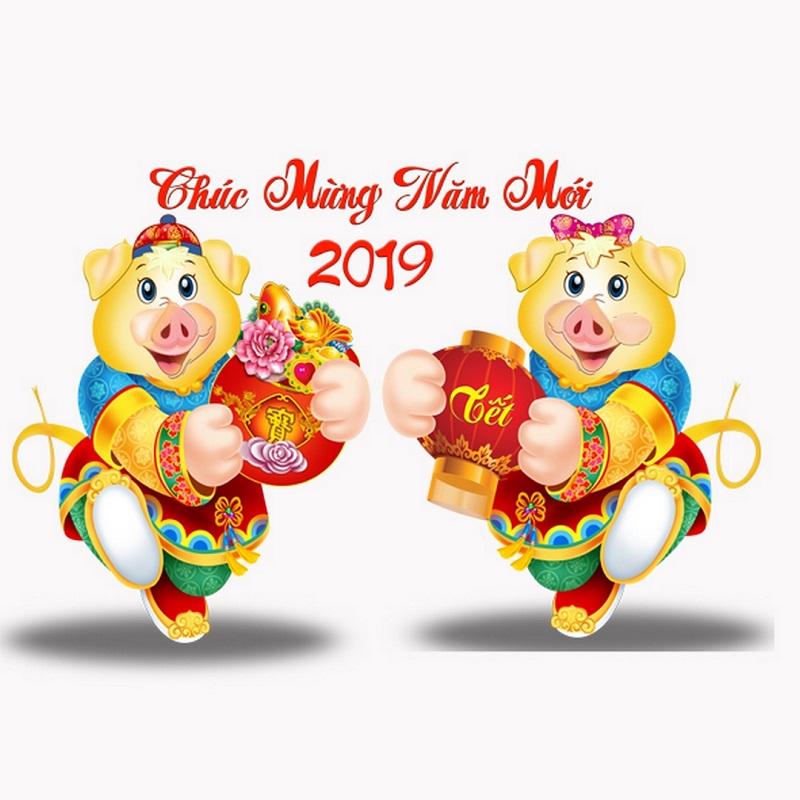 Year Of The Pig 2019 1w6jib