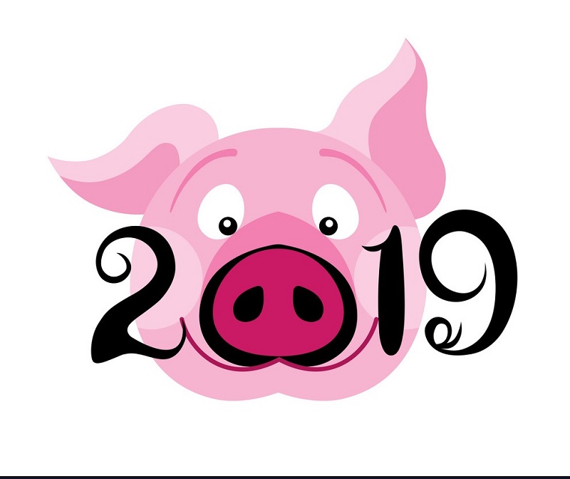 Year Of The Pig 2019 1wE1xw