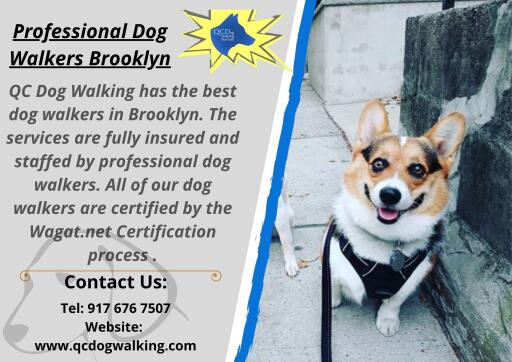 If you are a Job person/business person then obviously you don't have much time to take your dog for an afternoon walk. So we are here to help you with the professional dog walkers in Brooklyn. QC Dog Walking is the best dog walkers company in Brooklyn or near areas which gives the best services. We fully take care of your dog, our dog walkers are certified with wagat.net. For more information visit our website.  
Visit: https://www.qcdogwalking.com/professional-dog-walker-1