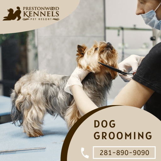 If your dog requires a wash, a nail cut, or a complete cleaning, our dog grooming salon provides a variety of options to help look and feel its best. Mail us at - info@prestonwoodkennels.com.