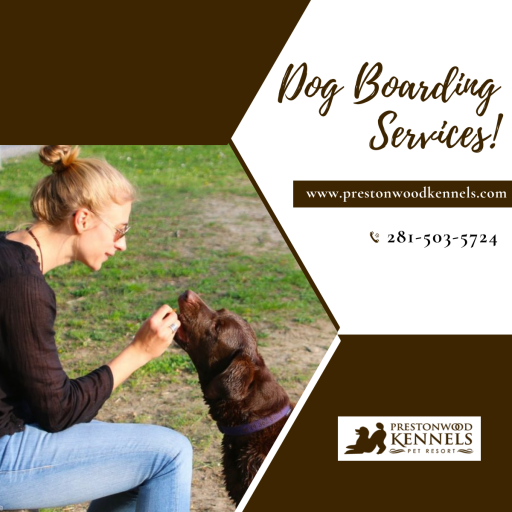 The best dog boarding in Houston offers daycare, grooming, and kennels with climate-controlled access with outdoor facilities in suitable environments. To reach us - 281-890-9090.
