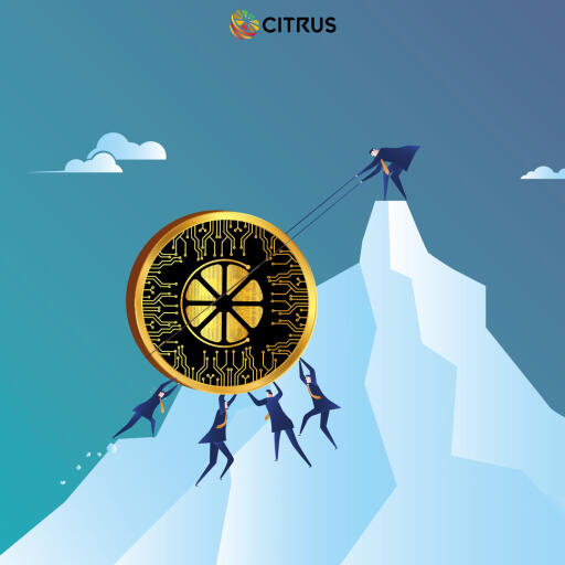 CITRUS is for the people, By the people and of the people. It is we, the "INVESTORS" who makes CITRUS a success.

Stay Safe, Stay Tuned
Thank you!!

For more information, visit www.citrus.tech