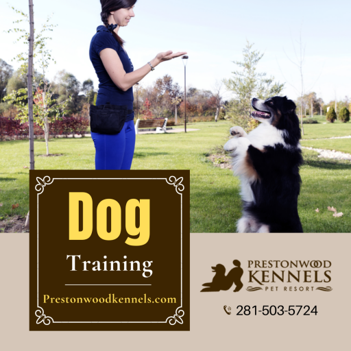 Preston Wood Kennels conducts dog training sessions in North Houston area for growing discipline dogs. For more information call us at 281-503-5724 and visit our website.