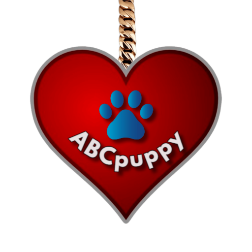 Seeking the best mini toy Poodle for sale in Houston? Abcpuppy.com is a visually appealing website that sells a variety of dog breeds such as BichPoos, Maltipoos, and Poodles for a reasonable price. For additional information, please visit our website.

https://www.abcpuppy.com/pages/toy-miniature-poodle-info
