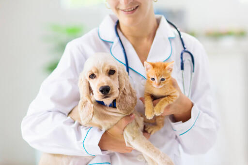 Barker Animal Hospital gives aid for all animals with serious illness. They also provide vaccinations, wellness checks, dental care, etc. Call us now and set an appointment. 757-410-5533