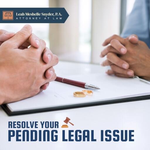Interested in having an attorney? Contact Leah Meshelle Snyder, P.A. We assist in mediating cases of couples and families with a wide range of matters.  For your queries email us at meshelle@lmsnyderpa.com.