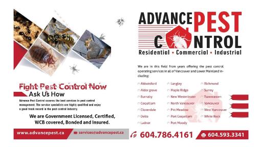 Advance Pest Control provides the best services for pest control in Langley and Aldergorve. Get in touch to get the services! Call Now at 604-786-4161.

Read More:- https://g.page/Advance_Pest_Control_Langley

Advance Pest Control is proud to offer its services at affordable and competitive rates with all inclusive pest control remedial measures and follow ups.Our mission statement is simple yet striking; providing exceptional and cost effective pest control management services through highly qualified and expert personnel. We are greatly committed to provide you with the quality living at your place as per your demand and comfort. With full dedication, we ensure to bring the maximum benefits for our valuable clients with jam-packed focus on pest control management and related technology consulting expertise.

#PestControlLangley