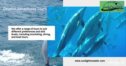 Sunlightonwater is a leading provider of dolphin adventures tours, offering exciting and unforgettable experiences in some of the most beautiful locations in the world. With our online booking system, you can easily reserve your spot on one of our tours, ensuring that you don't miss out on the adventure of a lifetime. Book Now- https://sunlightonwater.com/
