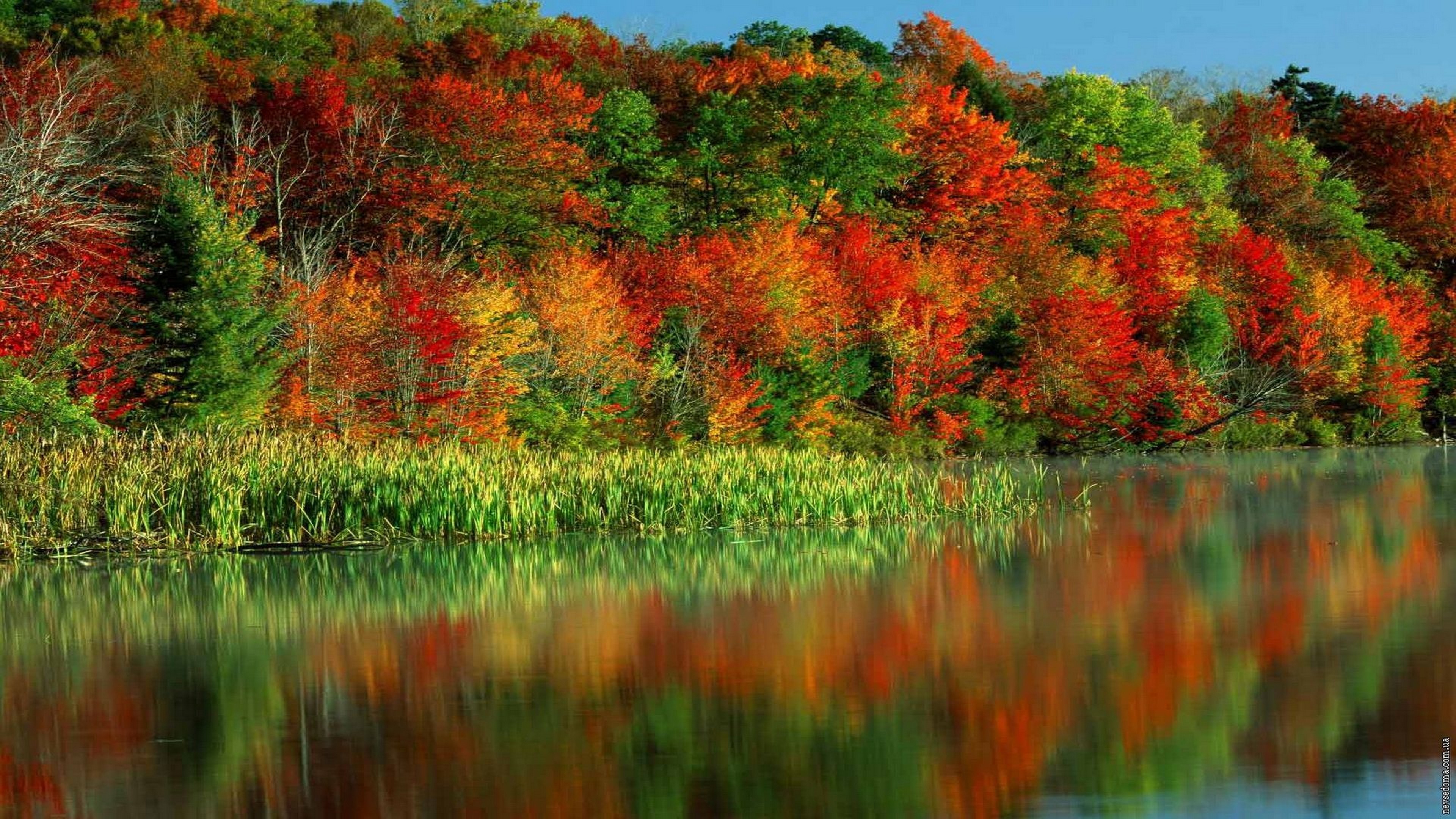 Величественными багряными. Красота осени. Краски осени. Красивая осень. Осенние краски природы.