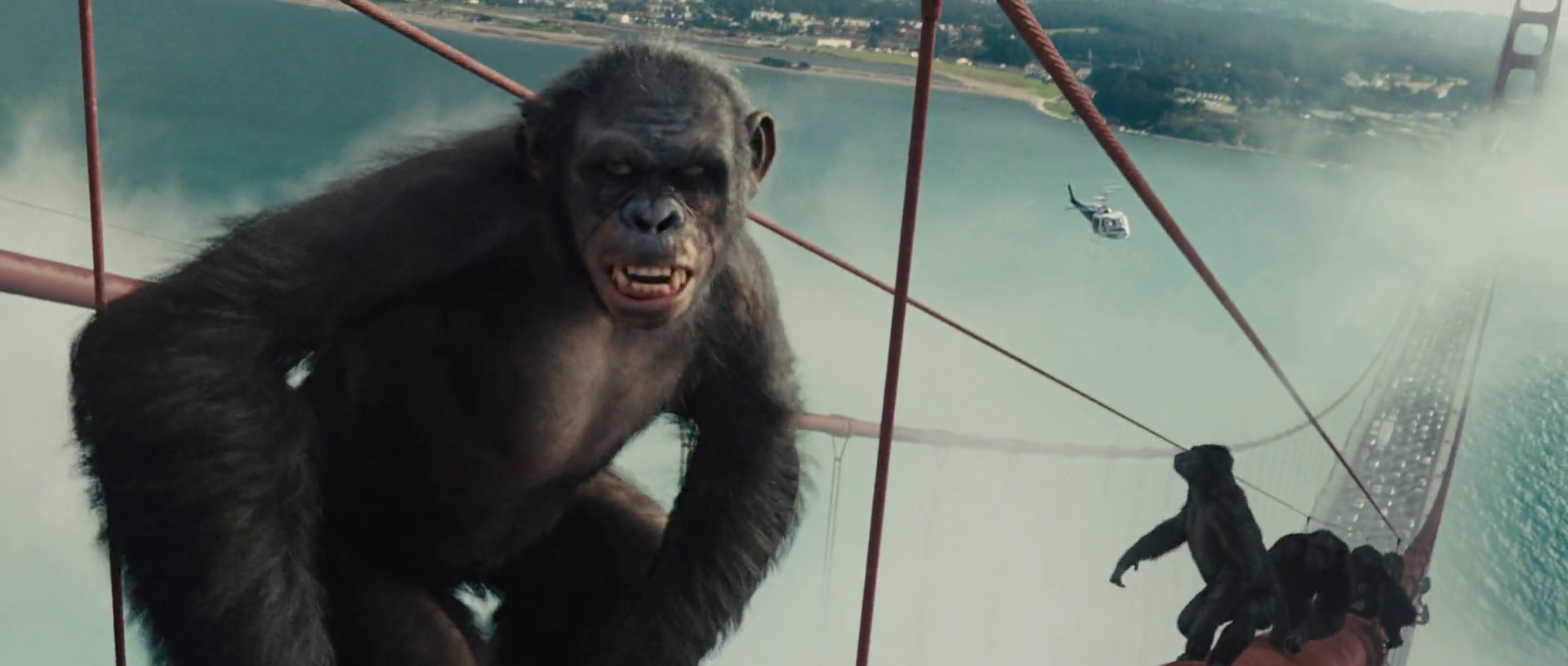 Download Rise of the Planet of the Apes (2011)-Andy Serkis-1080p-H264