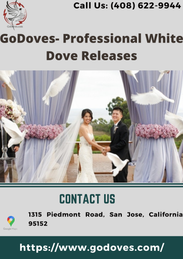 very couple's wedding day is particularly memorable since it marks the start of their new life together. So, if you want to make your wedding day unforgettable by producing some unique and hilarious memories, white doves for weddings are the way to go. You'll notice that the fluttering doves bring a touch of class to your wedding day customs. Visit:- https://www.godoves.com/weddings