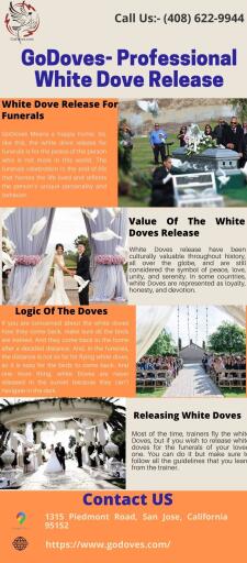 Wedding day is very special for every couple because it is the first step of their new journey. So, if you love to make your knot day remember forever by creating some unique and funniest memories, then you should go for white doves for the wedding. You will experience that the flying doves add more elegance to your marrying day rituals. Visit:- https://www.godoves.com/weddings