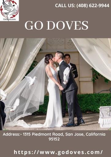 A pair of doves is frequently used as a sign of happy family life, loyal collaboration, and joint teamwork. GoDoves is the most cost-effective way to release white doves in the Bay Area. This is a touching and symbolic way to end a memorial or burial service, as well as a thoughtful and unique gift. Visit:-  https://www.godoves.com/