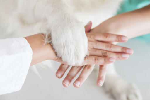 Visit our facilities for we can give tips for proper care of your loving pets. We are located at Columbia and Ellicott City, MD. You can just drop by or give us a call! 410-579-2918