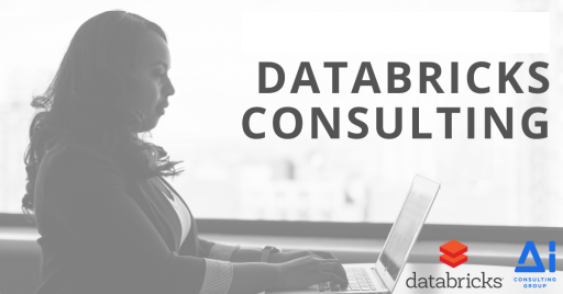 For strong and efficient data analysis get the best databricks consultants service. They provide excellent services of databricks technology, network design, databricks Developers, risk advisory, and model optimization that would be the best for your business success.