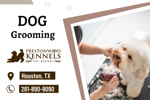 Our dog groomers can easily trim your dog's nails, making them more comfortable and preventing future health issues. Keeping your pet clean and healthy also helps to boost their happiness.