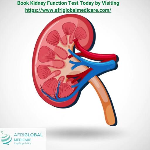 Get a kidney function test if you are concerned about the condition of your kidneys. The goal of this test is to examine the kidneys. Knowing the condition of your kidneys and the potential root causes. This test has been made simpler by Afriglobal Medicare, and we provide it for a fair price. Visit us right away to learn more about kidney function tests. https://www.afriglobalmedicare.com/how-to-keep-your-kidney-healthy-and-functional/