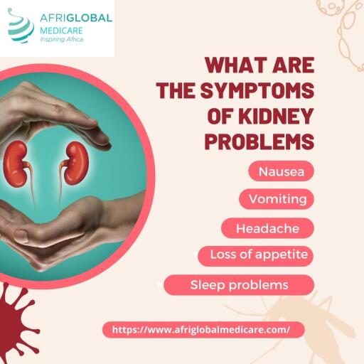 It is crucial to remember that even if you feel great, chronic kidney disease can still harm your body because kidney diseases in their early stage have little or no symptoms. So it is necessary to get yourself tested and manage good kidney health if you are feeling any symptoms of kidney-related problems. Schedule kidney functions test at Afriglobal Medicare and get huge discounts.https://www.afriglobalmedicare.com/how-to-keep-your-kidney-healthy-and-functional/