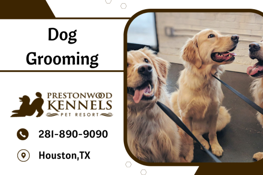 Give your dog a fun and safe experience. Dog boarding with us will have a relaxation, with a full day of play with our boarding dogs to work off any excess energy.