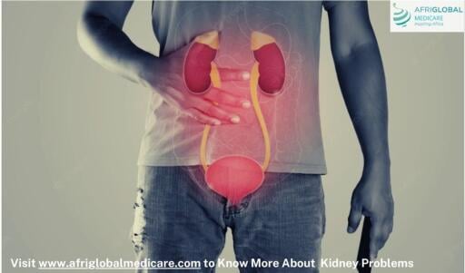 Never ignore any symptoms of a kidney problem. Get a kidney function test done and manage good health for your kidneys. You may experience high blood pressure, blood in the urine, or painful urination if you have any problem with kidney function. Afriglobal Medicare provides you with all kinds of kidney function tests. Book your appointment today and stay healthy.
https://www.afriglobalmedicare.com/how-to-keep-your-kidney-healthy-and-functional/