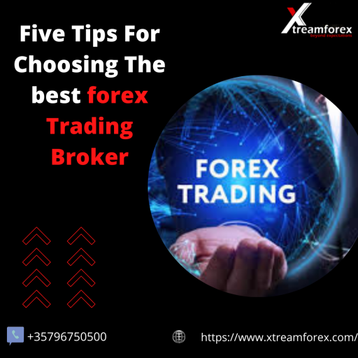 With a daily turnover of more than $5 trillion, the foreign exchange market, often known as forex or FX, is the largest financial market in the world. It is also the most liquid and actively traded market. With brokers and a forex trading platform accessible online around-the-clock, it is also one of the most accessible markets.