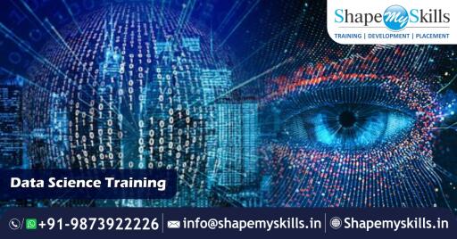 ShapeMySkills is the best Training and Placement company in Noida. The trainers here have designed course content as per the current industry standards. The trainers are certified corporate professionals with more than 13 years of experience. They will also help you to prepare for interviews and exams.