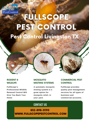 Do you want the best Pest Control in Livingston TX? You have a pest problem in your home that you want to eliminate. You should contact a Pest Control Livingston TX service. The most important factor is to find the best company for the job. It is critical to select a company that has been in operation for a long time and has a proven track record with previous customers. The process of removing, controlling, or preventing pests from infesting a home or other premises is known as pest control. Pests are organisms that eat plants or animals and cause harm to them. Some pests are dangerous to humans and property, whereas others are beneficial. Visit our websites for more information: https://fullscopepestcontrol.com/residential-pest-control-livingston-tx/