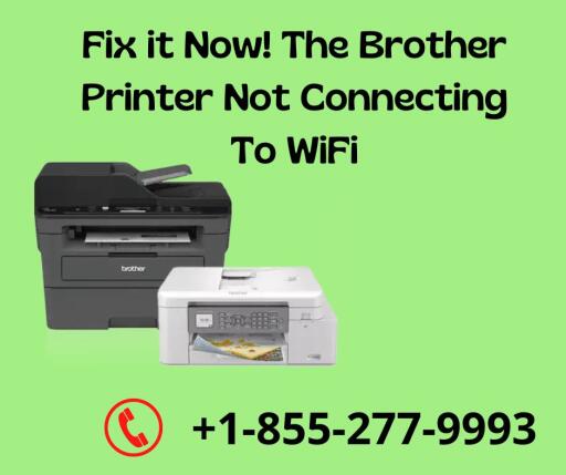 Brother Printer Not Connecting to Wi-Fi and the internet? We offer instant support for any Brother printer-related queries. Call us at +1-855-277-9993 for professional help for Brother printers not connecting to Wi-Fi. Our technical experts are available to help you with any issue you may have including Brother Printer Setup and Connectivity Issues.

Visit at: https://printererrorcode.com/blog/brother-printer-not-connecting-to-wifi/