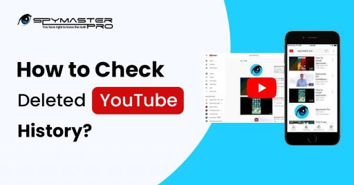 To check deleted youtube history, you can try out spymaster pro. The best and super secure app is to check your youtube browsing history, and comments, and watch history without knowing. It's a very easy-to-install and use app. Get more reviews here https://www.spymasterpro.com/blog/how-to-check-deleted-youtube-history/.