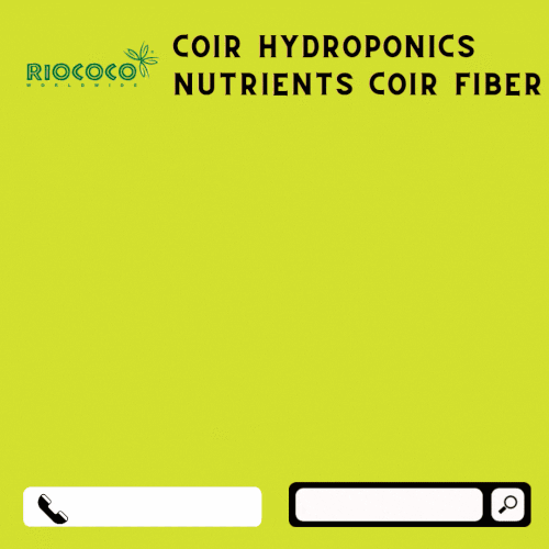 Do you want to obtain coir hydroponics nutrients coir fiber at reasonable rates? Approach us at RICOCCO to find our coco coir fiber coming with a neutral pH level, helping to control nutrient allocation in tank farming easily. Retaining 10 times of water its weight, it is the optimal choice for closed-loop systems, where it can be recycled after heat-treatment process. Thus, the coir mix can retain up to 90% of water utilization in a hydroponics greenhouse crop growing technique. Thus, the biodegradable, renewable, and adaptable resource of coir fiber can be used in sapling propagation and cuttings. Visit us at: https://www.riococo-mmj.com/a-beginners-guide-to-growing-cannabis-with-coco-coir/
