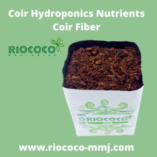 Do you want to obtain coir hydroponics nutrients coir fiber at reasonable rates? Approach us at RICOCCO to find our coco coir fiber coming with a neutral pH level, helping to control nutrient allocation in tank farming easily. Retaining 10 times of water its weight, it is the optimal choice for closed-loop systems, where it can be recycled after heat-treatment process. Thus, the coir mix can retain up to 90% of water utilization in a hydroponics greenhouse crop growing technique. Thus, the biodegradable, renewable, and adaptable resource of coir fiber can be used in sapling propagation and cuttings. Visit us at: https://www.riococo-mmj.com/a-beginners-guide-to-growing-cannabis-with-coco-coir/