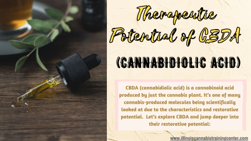Let’s explore CBDA and jump deeper into their restorative potential. Reference: https://illinoiscannabis.wordpress.com/2022/08/11/therapeutic-potential-of-cbda-cannabidiolic-acid/ 

Suggested Post: https://www.illinoiscannabistrainingcenter.com/il-cannabis-company-board