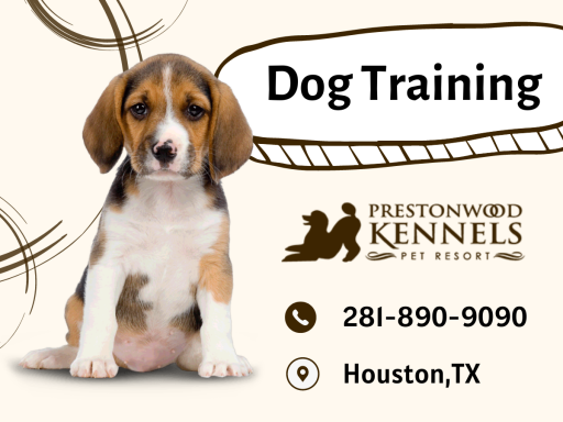 By receiving quality dog training from Preston Wood Kennels, you can expect on your dog to react predictably and reliably, strengthening the relationship and teamwork between your dog and family.
