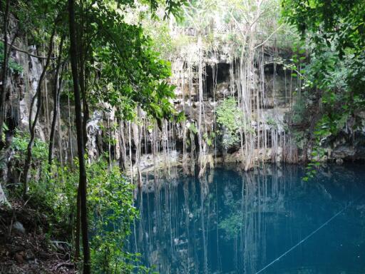 Experience the breathtaking views of Tulum and Coba while exploring a natural underground cenote. We are pleased to inform you that we are the best tour operator in Tulum that goes to Coba Cenote, which is located in the jungle area of Tulum. Enjoy a guided tour to one of the most spectacular and pristine cenotes in Tulum, Coba Cenote. Here we will give you an opportunity to swim and snorkel in this natural and underground river. You will have the chance to see the stalactites, stalagmites and other incredible formations. Visit our site- 
https://bestmayatours.com/tours/private-tulum-coba-cenote-tour-and-lunch/