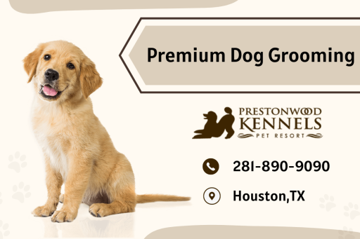Are you looking for the perfect groomer for your dog? Look no further than the team here at Prestonwood Kennels use unique and specialized pet products for grooming.