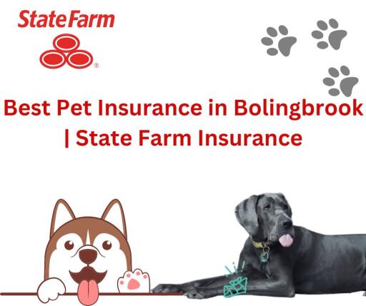 Find the best Pet Insurance in Bolingbrook to protect your furry loved ones. We take pride in providing the best pet insurance coverage in Bolingbrook at an affordable price. Get a quote today! 
Call us: (630) 759-3173
For more info: https://www.insurancebolingbrook.com/