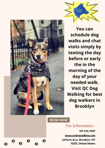 If you own a dog, you should consider the importance of dog walking. If you do not have time to take your dog for a walk, you can hire the best dog walkers in Brooklyn. There are a number of health benefits to dog walking, including cardiovascular fitness, lower blood pressure, stronger bones, muscles, and more. Here at QC Dog Walking, we offer trained personnel who help dogs settle down, engage them in play, and are available within a few hours of receiving a request.  
Website: https://www.qcdogwalking.com/