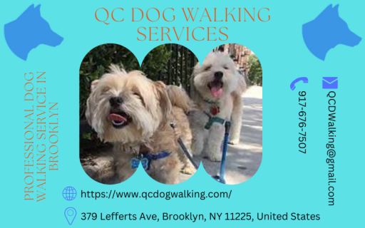 Don’t want your pooch to get caught in a rut and sacrifice the most awaited evening walks they cherish? Fret Not! Professional dog walking service Brooklyn at QC Dog Walking Service is the ultimate partner in crime to take your dog for a walk. We ensure that your dog makes the most of the evening walks. To check out our dog-walking packages, 

Visit:- https://www.qcdogwalking.com/professional-dog-walker-1