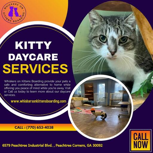 Do you often remain away from your home, and do you remain worried about the care of your cat? You can get rid of this unnecessary worry with kitty daycare in Georgia, which is available at an affordable price. Keeping your pet groomed, nurturing, and protected is what we do at Whiskers on Kittens Boarding. Reach out to us to know more about our services.
For more info. visit: https://www.whiskersonkittensboarding.com/