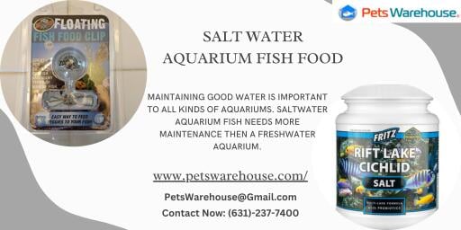 If you've an aquarium at home then it's important to keep this maintained. Once the aquarium is up and running then balancing the water levels and maintaining good water is important to all. Shop the best saltwater aquarium equipment & supplies today. Feed your saltwater aquarium fish healthy food and must check the aquarium daily. Visit the website for more details.