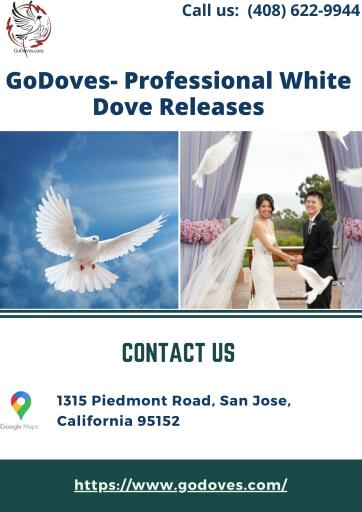 Releasing doves has become a beautiful and trendy way to end a Christian wedding ceremony in the USA. Make your wedding even more memorable by renting the best dove release in weddings from Go Doves, presenting professional white dove releases. Visit:- https://www.godoves.com/weddings