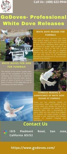 Seek affordable dove release service for funerals, weddings, baby showers, and other special occasions to generate a magnificent, attention-getting, and symbolic elegance at the event. We can release up to 100 doves in one go for large events. Visit:- https://www.godoves.com/
