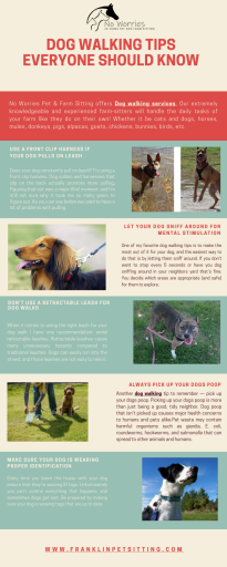 If you are looking for dog walking services Franklin, your search ends here. Dogs require outdoor time every day and if you can’t manage it, let us know. Our professional dog walkers love what they do and will take care of your beloved pet when it is out for its much-needed walk! For additional information, please visit our website.

https://franklinpetsitting.com/