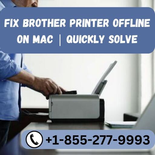 Do you have any issues related to Brother Printer offline on Mac? Brother Printer offline on Mac is one of the most common problems faced by Mac users. Call us now at +1-855-277-9993 for fast and efficient service. Our technicians are trained to handle all types of Printer problems. Call now!! We offer a quick and effective solution. Take advantage of our expert Brother printer experts who can resolve your problem for you.

Visit at: https://printererrorcode.com/blog/brother-printer-offline-on-mac/