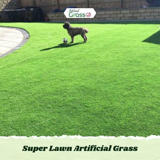 Super Lawn artificial grass is designed to resemble a freshly mowed lawn, in look and feel. With a pile height of 20mm, this creates a highly realistic lawn/garden.