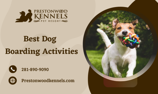 Our top dog boarding facility includes kennels with climate-controlled access and outdoor facilities in appropriate places, as well as daycare and grooming. Contact us now - 281-890-9090.